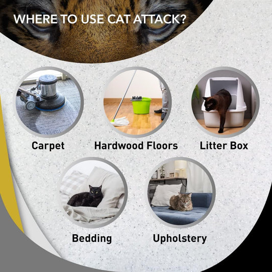 dilutable with water for spray-bottle application on hard surfaces or saturation on carpet