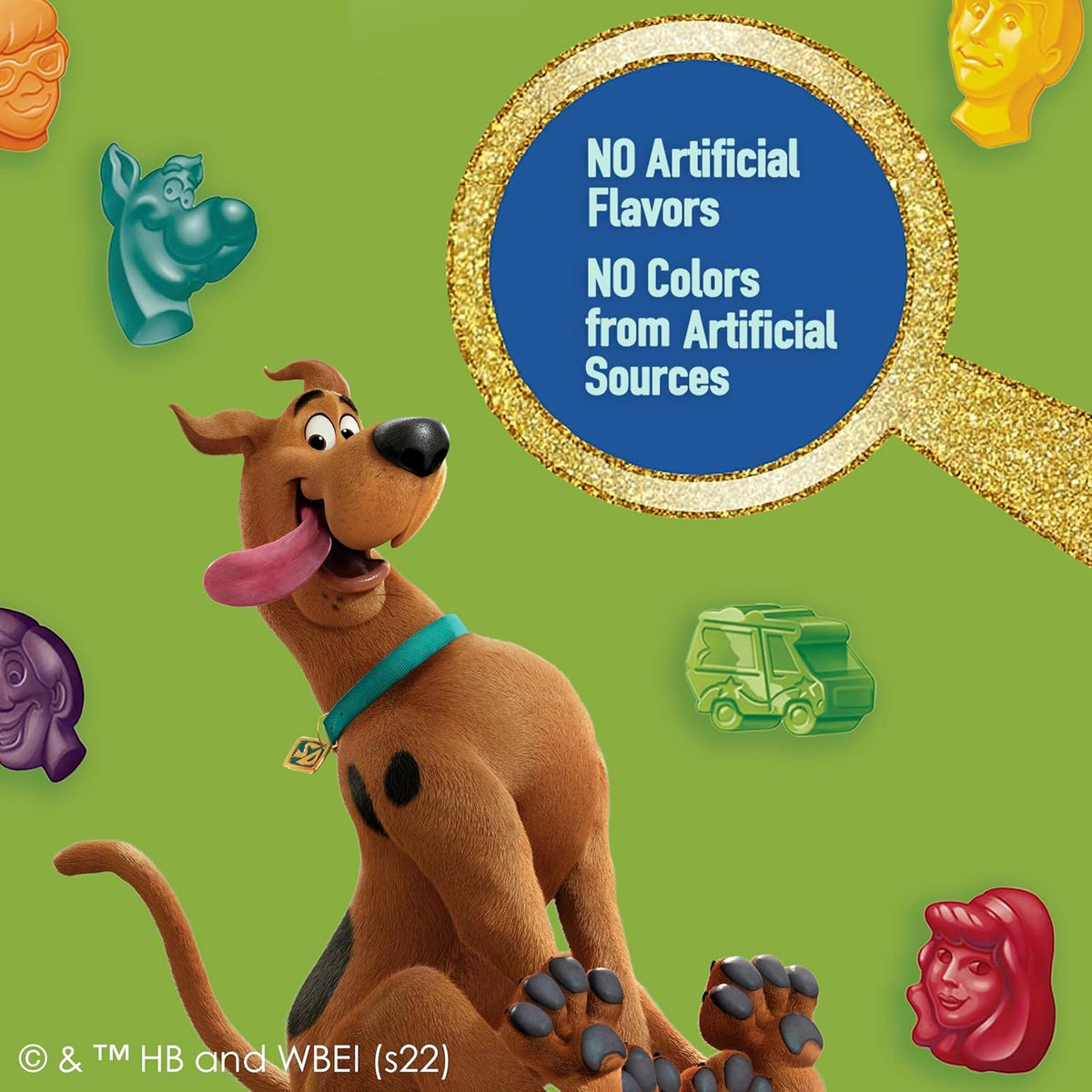 Scooby-Doo Fruit Flavored Snacks Gluten Free 22 Ct Wedding Hotel Welcome Bag Treat for Young Guests