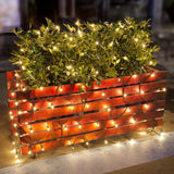 Lomotech Christmas Net Lights – Flameless Holiday Lighting Alternative for Worry-Free Outdoor Christmas Decorating