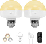 BLUEYE Battery Operated Light Bulb Housewarming Gift, Wireless LED Lamp for New Homeowners and Renters