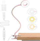 iZELL Adjustable Desk Lamp Gift – Versatile LED Light for Him or Her, Perfect for Home Office, Dorm, and Bedside