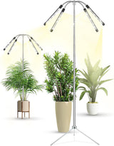 Full Spectrum Plant Lamp – Study Room Productivity Light with Set-and-Forget Timer
