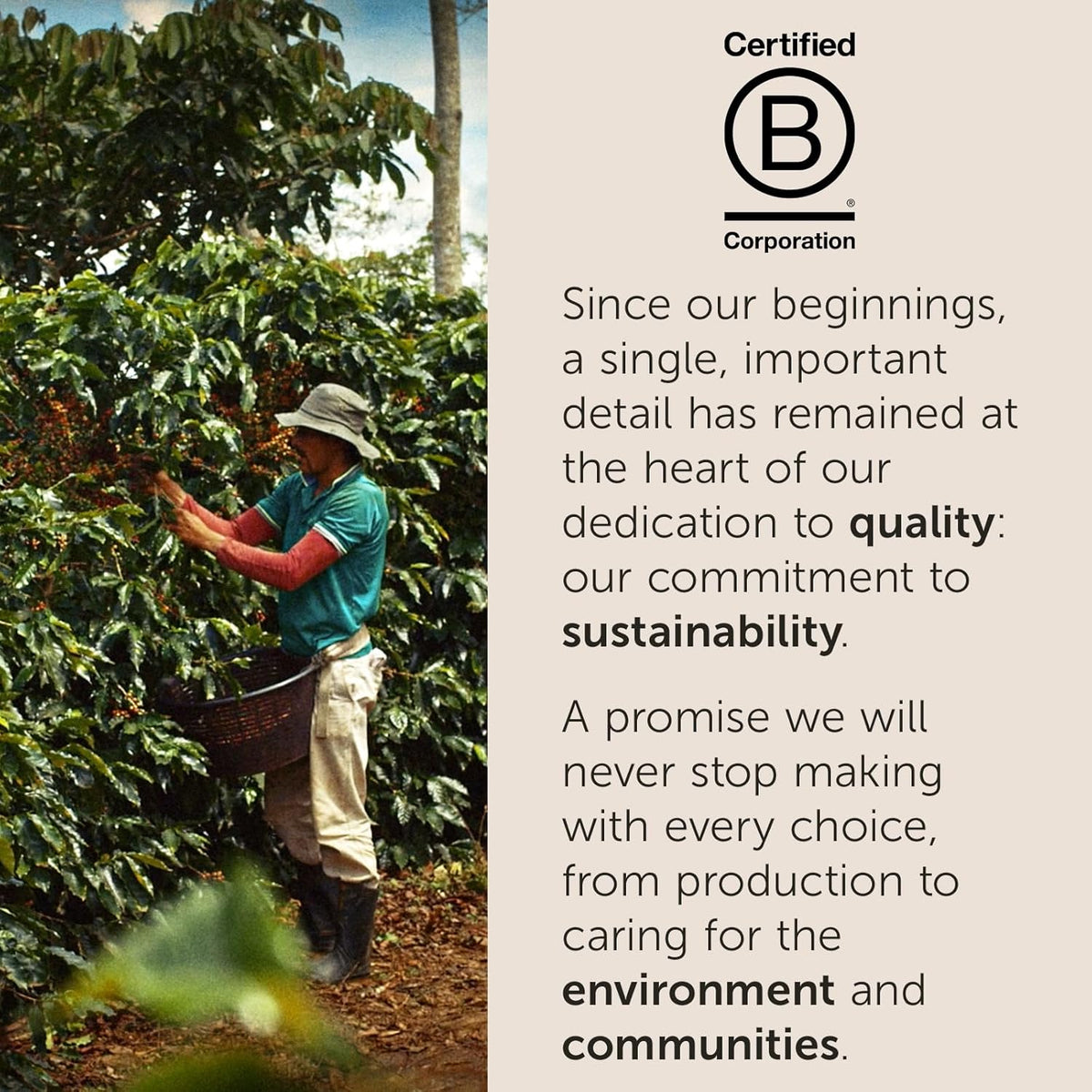 30-second brew time on any e.s.e.-compatible espresso machine