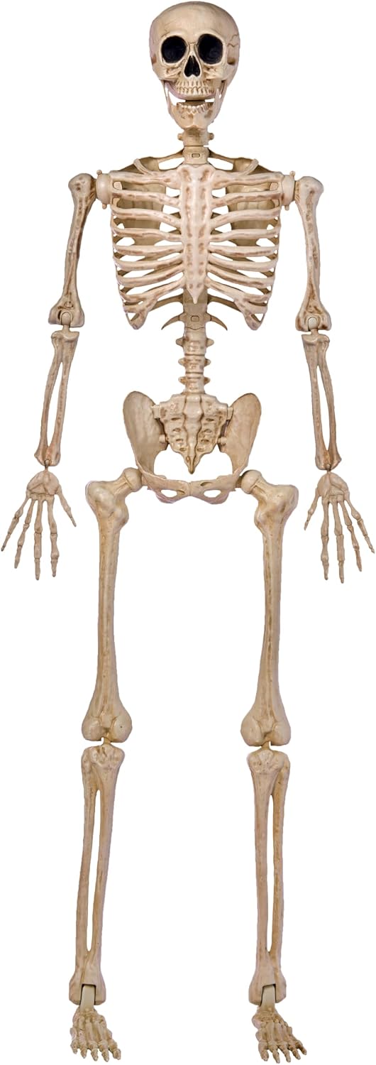 5 ft (152cm) life-size height matching real human proportions for maximum visual impact