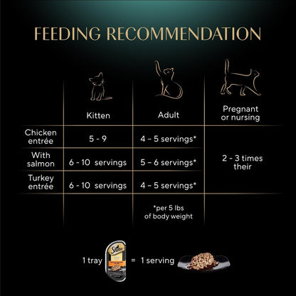 all-breed-size recommendation for adult maintenance feeding
