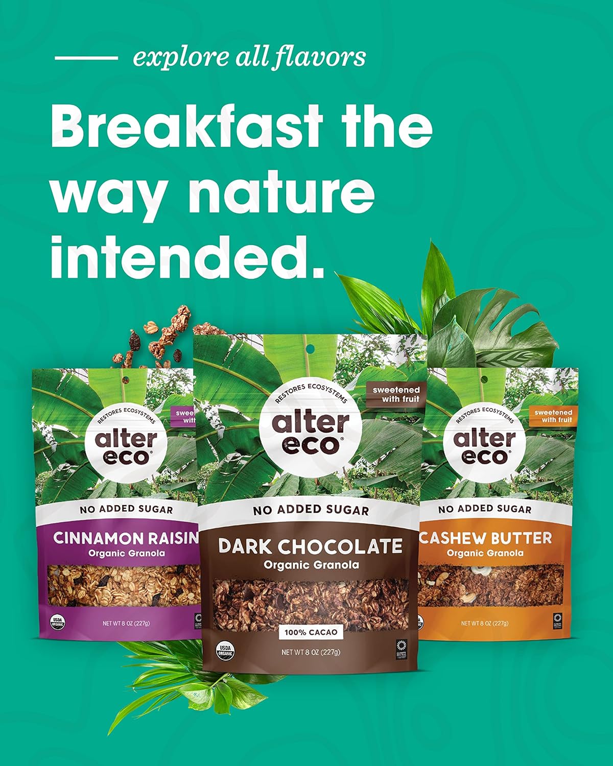 Alter Eco Cashew Butter Granola – Plant-Based Pantry Staple for Vegan Wellness Routines