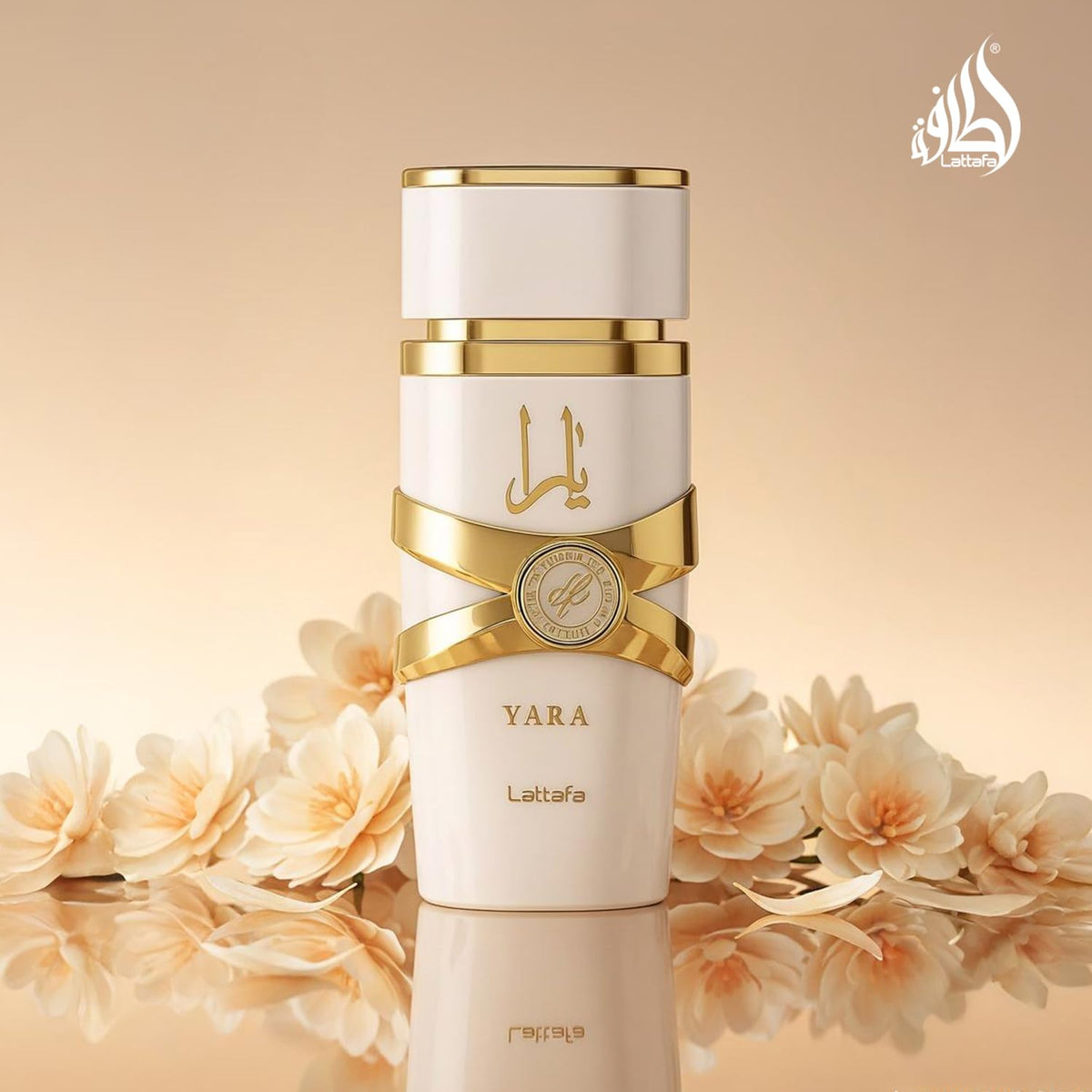 amber gourmand fragrance family suited to adult women