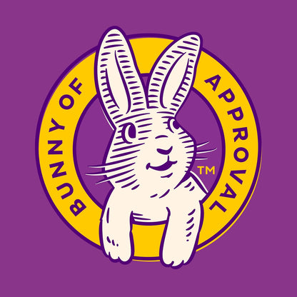 Annie's Organic Bunny Fruit Snacks – Allergy-Friendly Classroom Treat for Kids' Parties, 22 Pouches