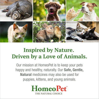 available in pack of 1 or pack of 2 for value and multi-cat homes