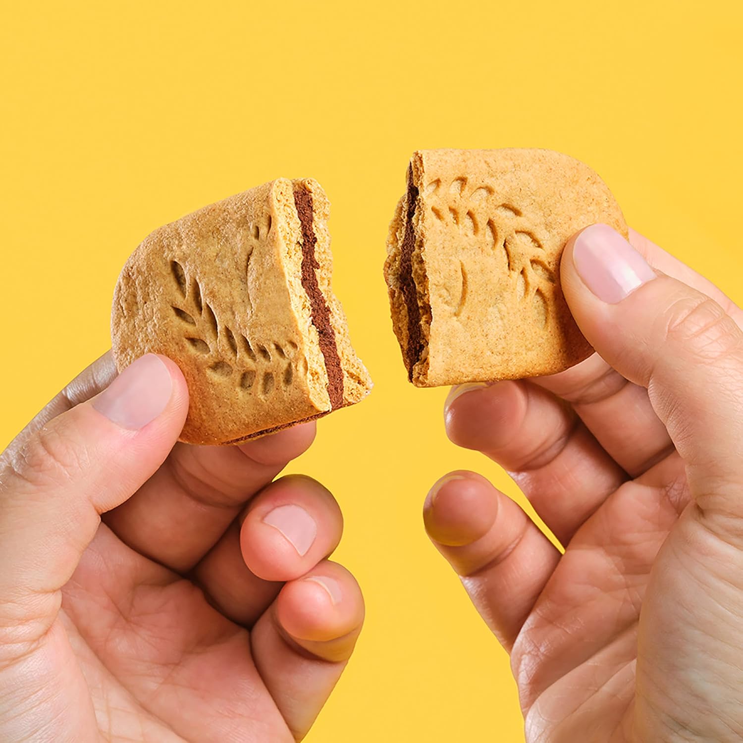 belVita Breakfast Biscuit Sandwiches – Clean-Label Morning Treat for Busy School-Day Routines, 12-Pack