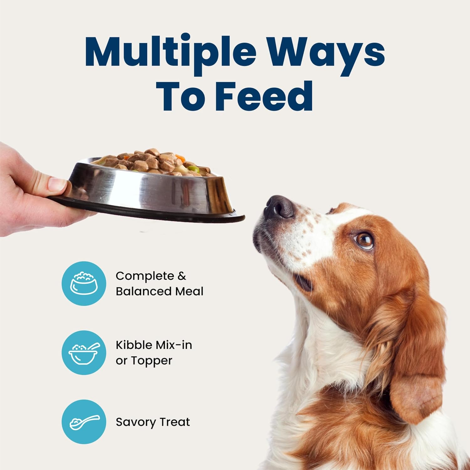 Blue Buffalo Blue's Stew Hearty Beef & Country Chicken Canned Dog Food, Clean Label Ingredients for the Intentional Pet Pantry