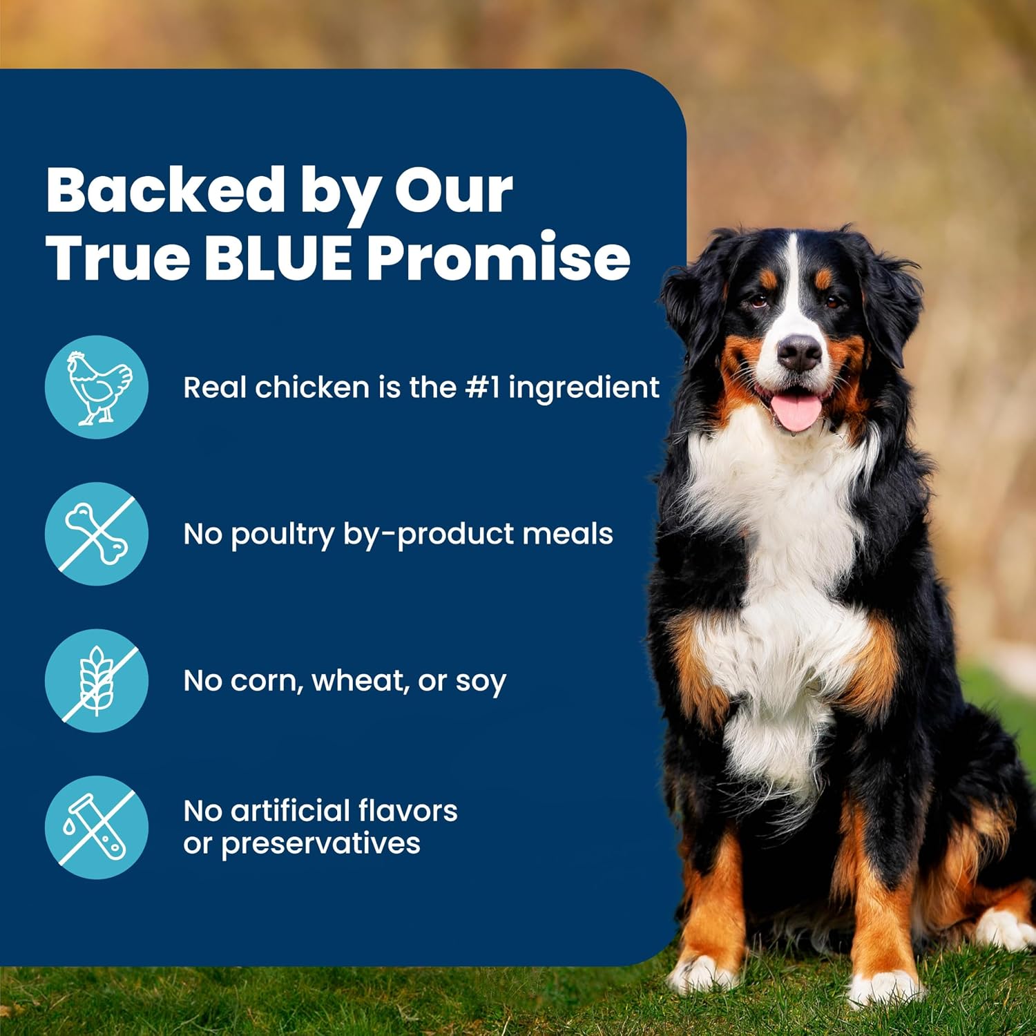 Blue Buffalo Life Protection Formula Adult Dog Food Chicken & Brown Rice – AAFCO-Compliant Safe Nutrition with No Artificial Flavors or Preservatives, 24 lb