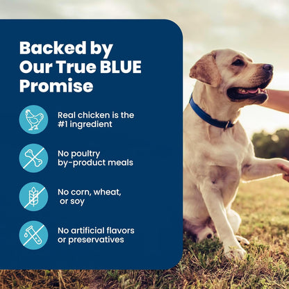 Blue Buffalo Life Protection Senior Dry Dog Food – Crafted with Real Deboned Chicken and Wholesome Grains for Mature Dogs, 15 lb