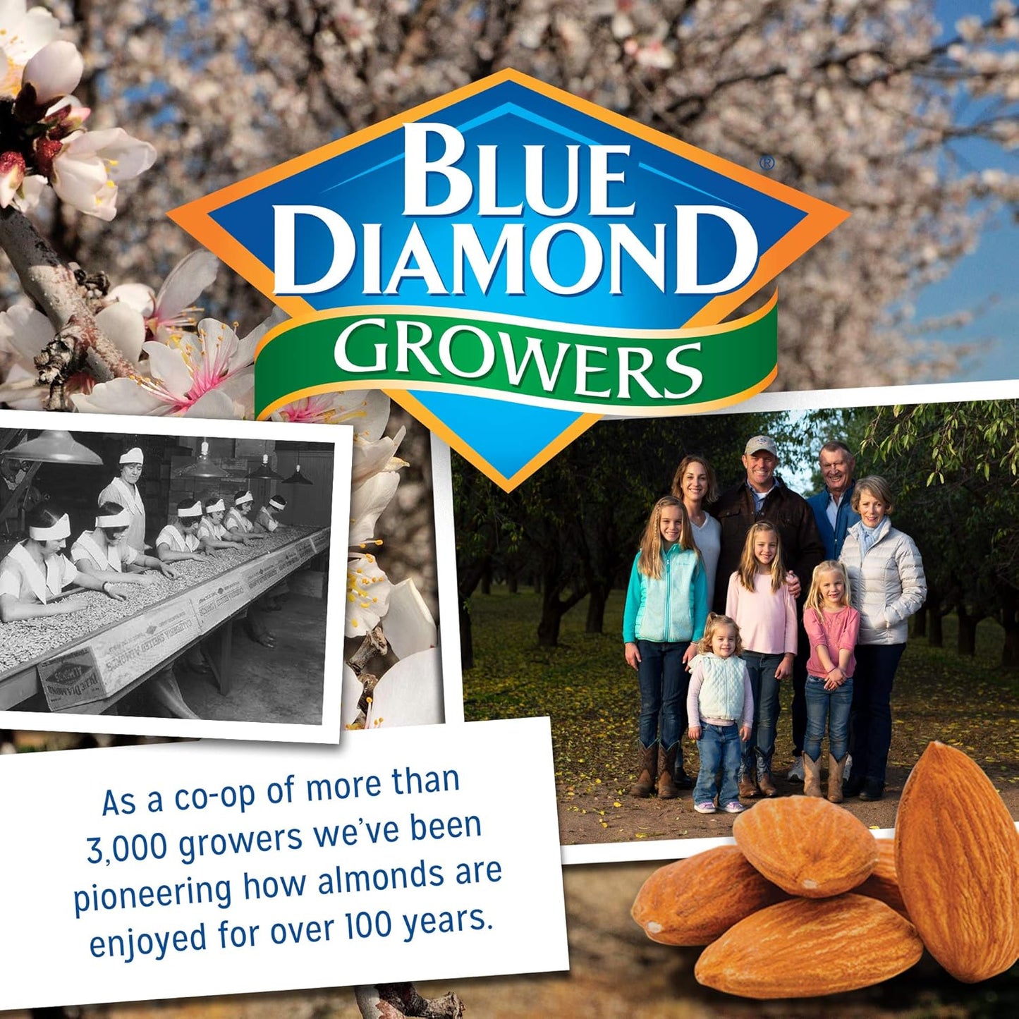 Blue Diamond Almonds BOLD Snack Nuts Multi-Pack, 6 oz Resealable Cans Perfect for Car Rides, School Backpacks and Family Road Trips