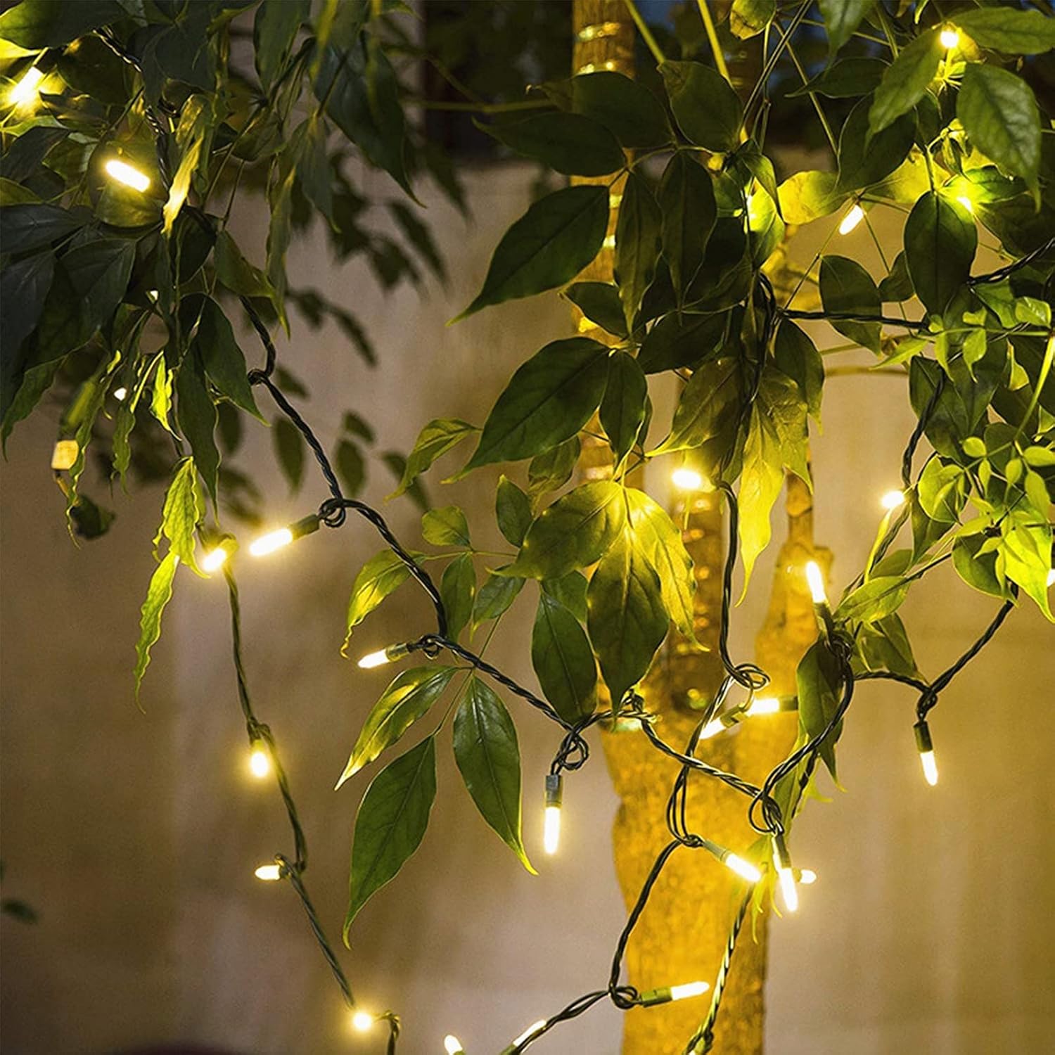 Brightever Warm White Fairy Lights 100 Count – Holiday Home Accent for Shelves, Windows & Reading Nooks, UL Certified