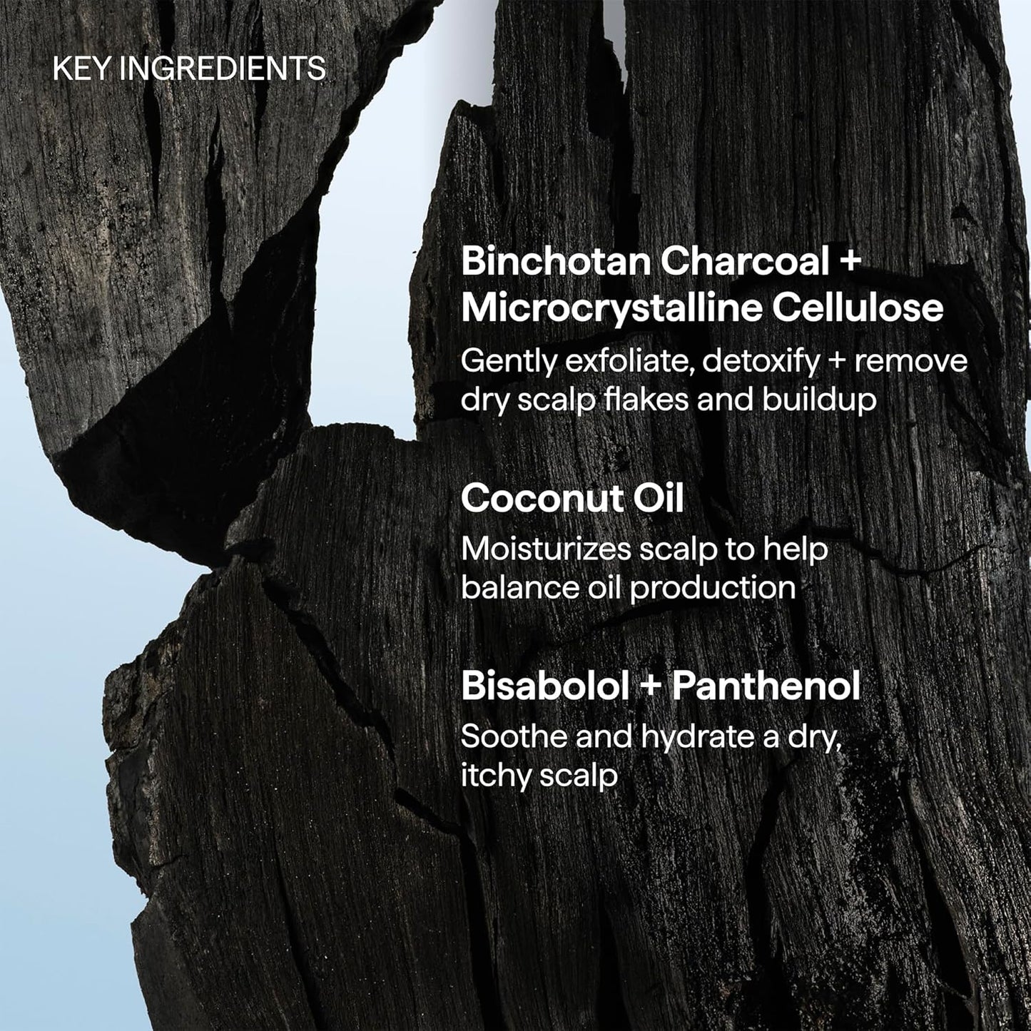 Briogeo Scalp Revival Charcoal + Coconut Oil Micro-Exfoliating Shampoo | Vanilla Mint Pre-Shampoo Scrub for Bath Time Wind-Down