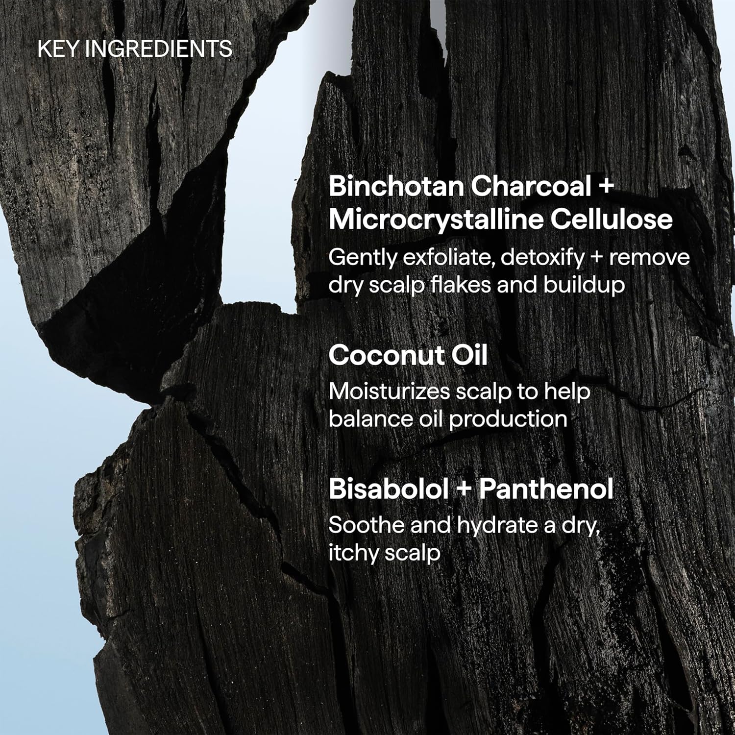 Briogeo Scalp Revival Charcoal + Coconut Oil Micro-Exfoliating Shampoo | Vanilla Mint Pre-Shampoo Scrub for Bath Time Wind-Down
