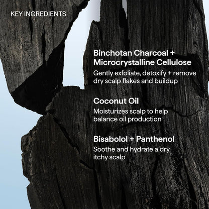 Briogeo Scalp Revival Charcoal + Coconut Oil Micro-Exfoliating Shampoo | Vanilla Mint Pre-Shampoo Scrub for Bath Time Wind-Down