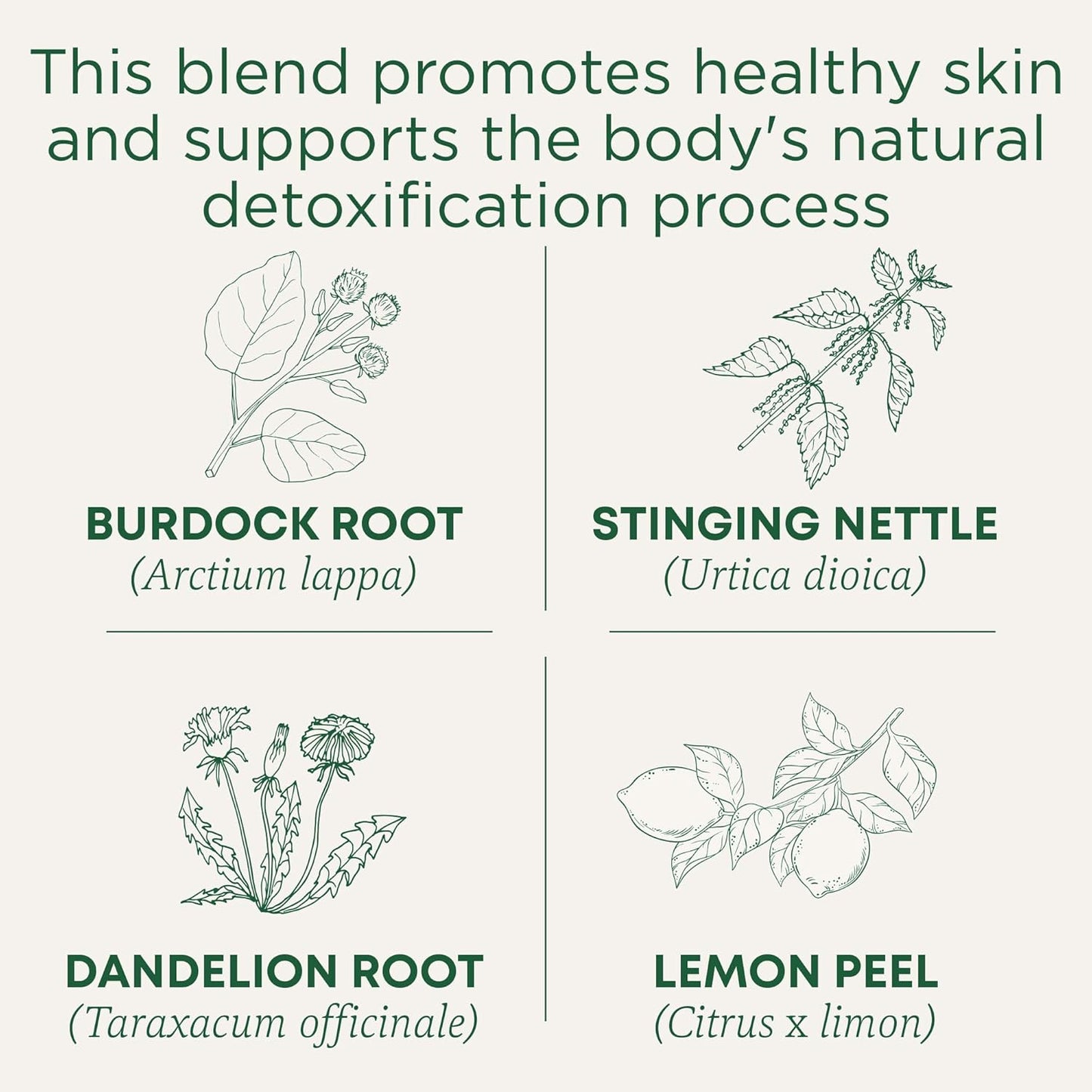 caffeine-free formulation suitable for evenings and sensitive drinkers
