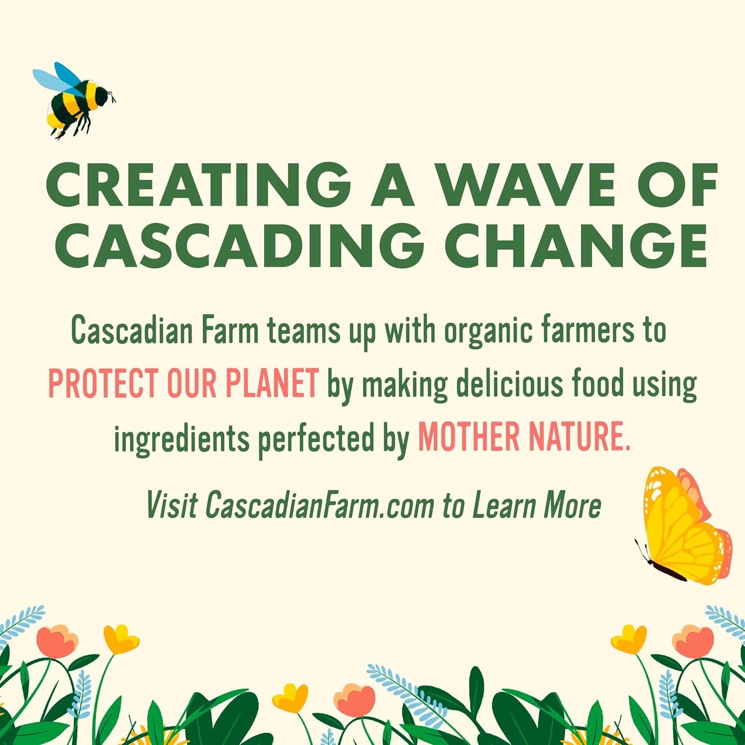 Cascadian Farm Honey Oat Crunch – Streamlined Organic Cereal for the Less-Is-More Kitchen, 13.5 oz