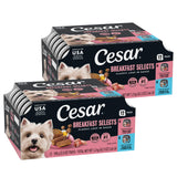 Cesar Wet Dog Food – Wholesome Rotational Diet to Stimulate Appetite and Reduce Flavor Fatigue in Small Breeds, 36 Count