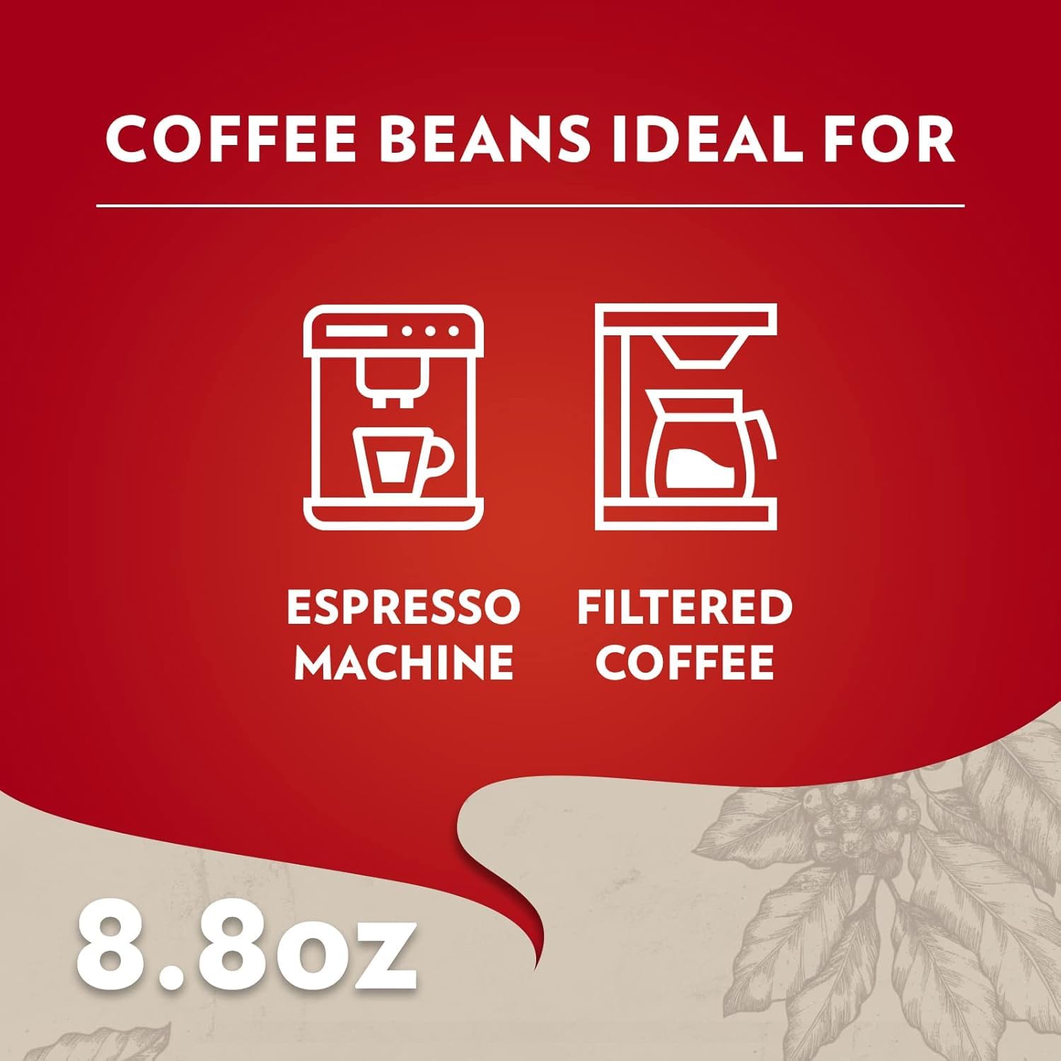chocolate aromatic notes in the flavor profile