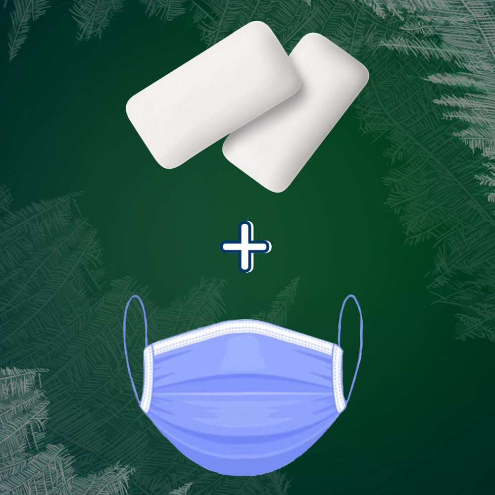 ECLIPSE Spearmint Sugar Free Mint Gum Bulk Pack – Camping and Patio Refresh for Open Air Gatherings