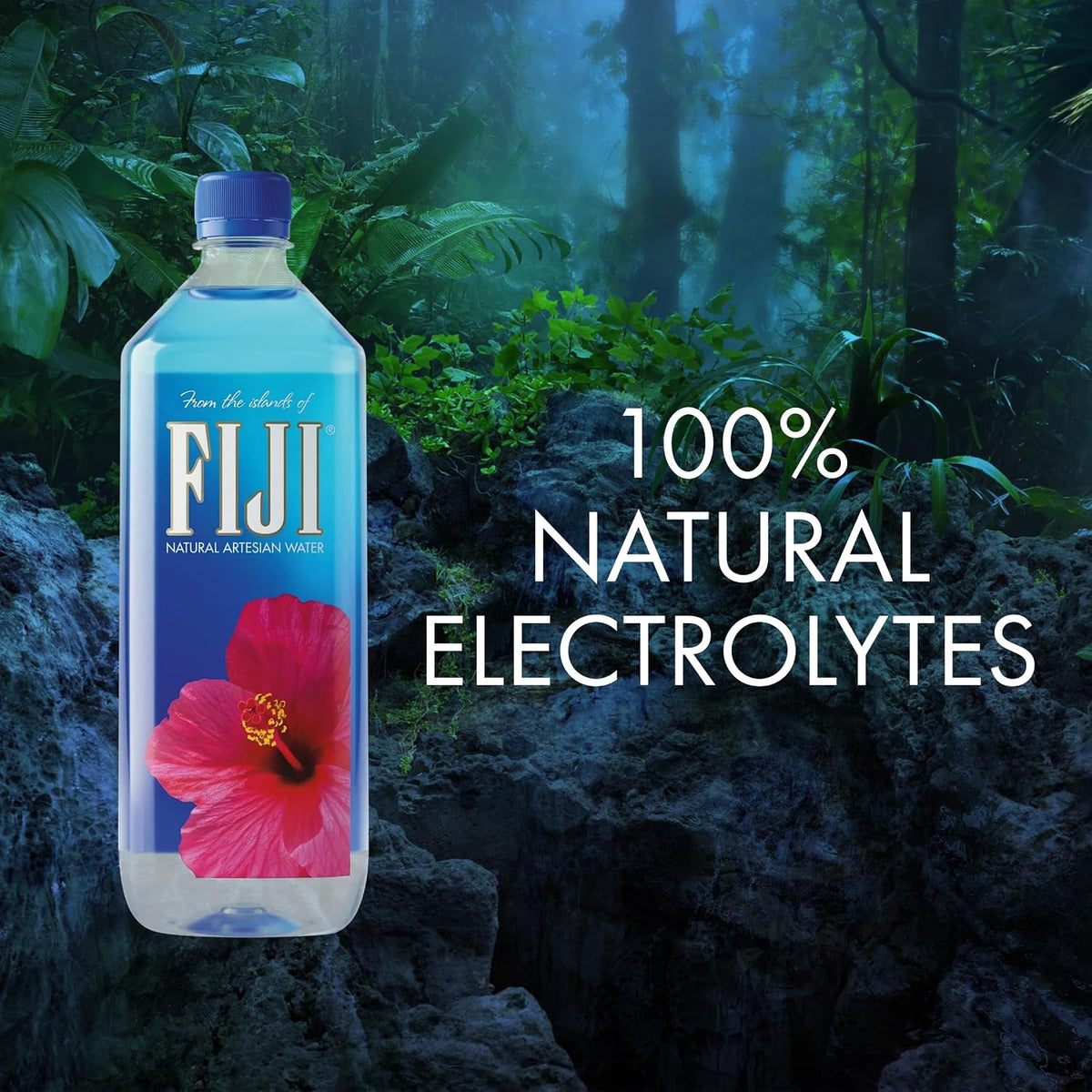 FIJI Natural Artesian Water – Luxe Corporate Gifting and Client Appreciation Water, 1L 12-Pack