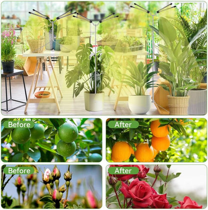 Full Spectrum Plant Lamp – Study Room Productivity Light with Set-and-Forget Timer