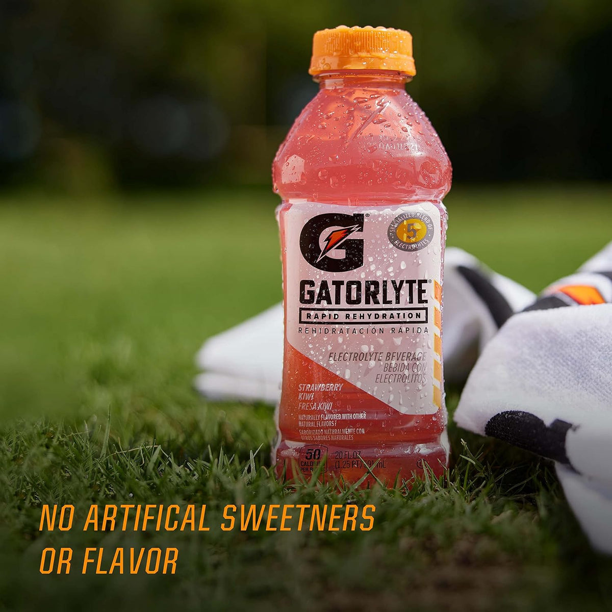 Gatorlyte Electrolyte Beverage – Lunchbox and Car Cup Holder Hydration for Active Kids, Low-Sugar Pack of 12