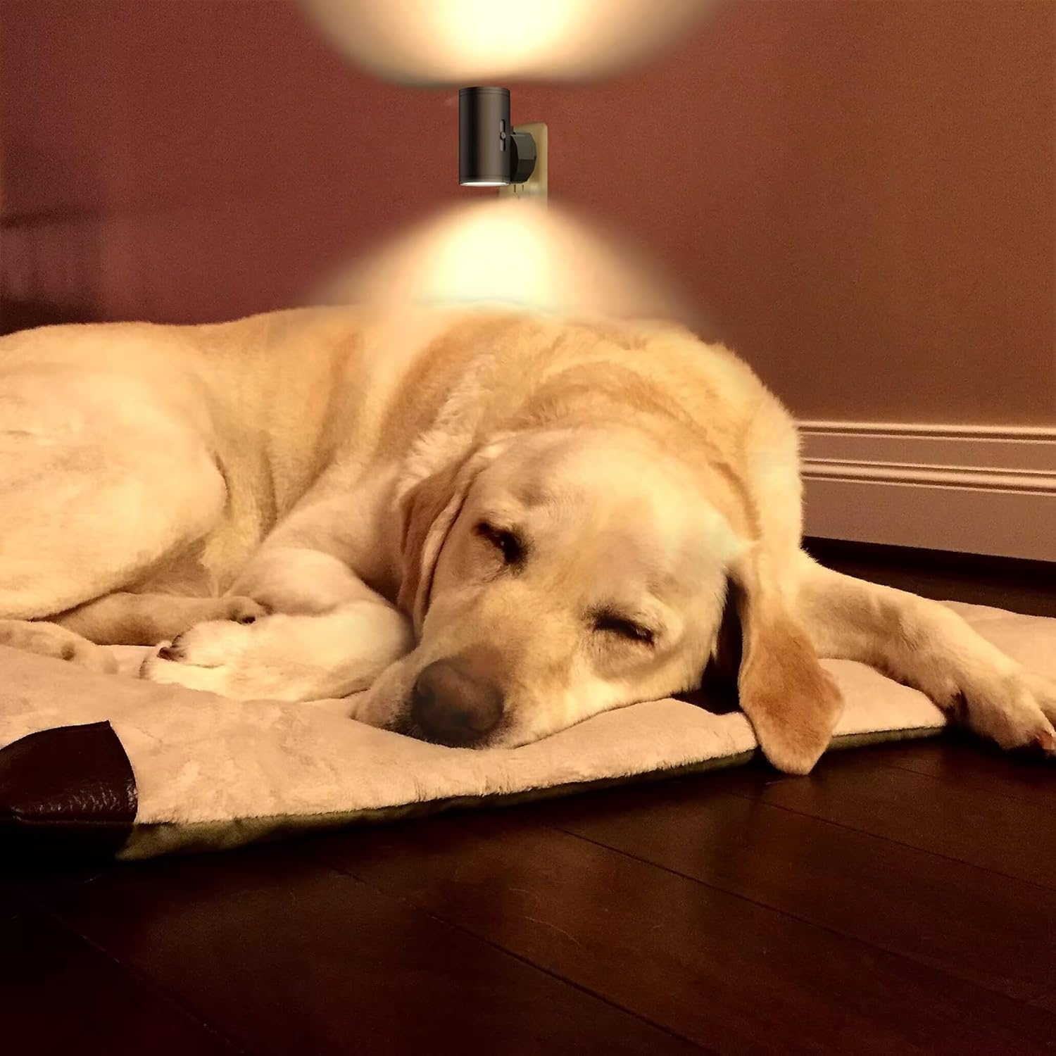 GEPLAD Baby Room Night Light with Dimmer – Adjustable Warm Glow for Late-Night Feedings and Diaper Changes