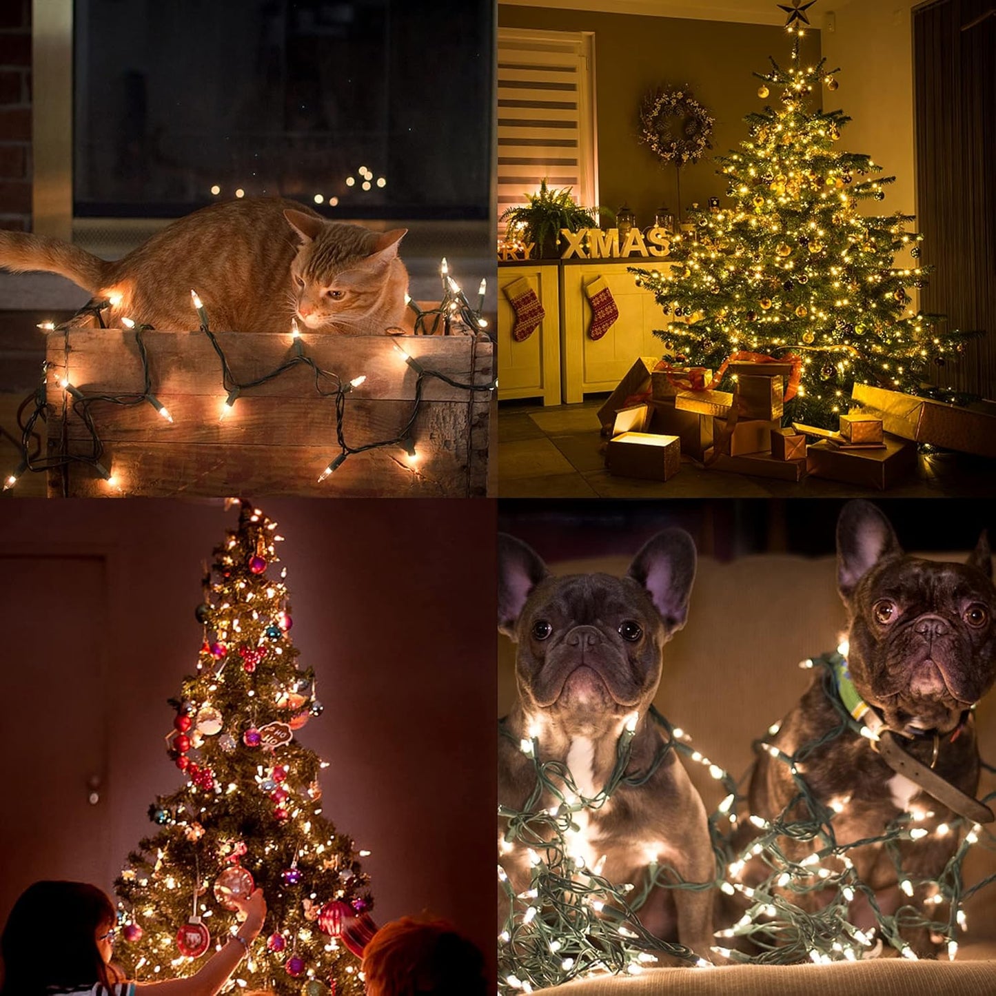Giftable Holiday Decor for Mom and Home Decorators, 29 ft Warm White Christmas Lights with Spare Bulbs and Fuses