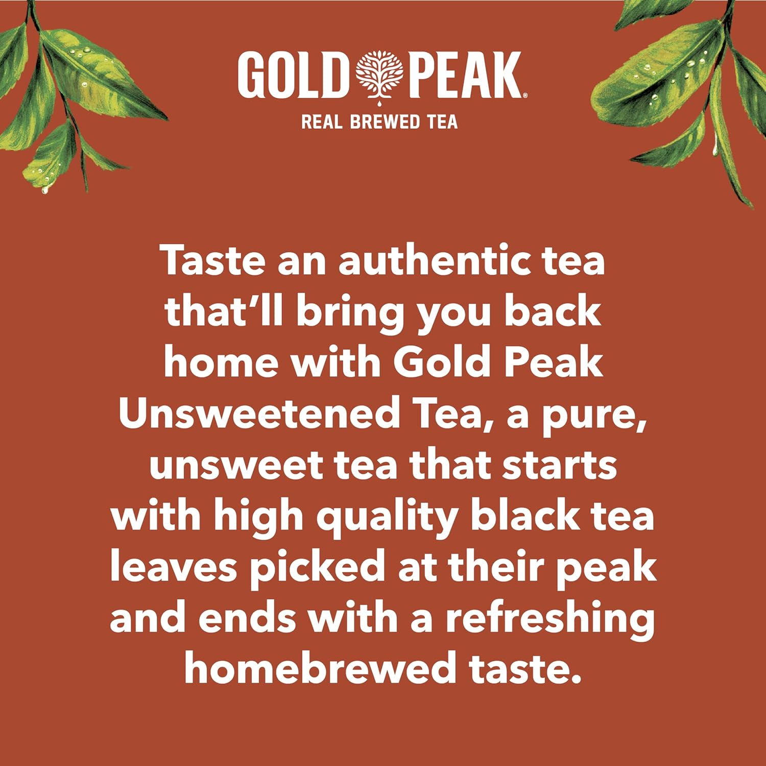 Gold Peak Zero Sugar Sweet Tea – Easy-Pack Lunchbox Drink for Day Trips and Outings, 16.9 fl oz 6 Pack