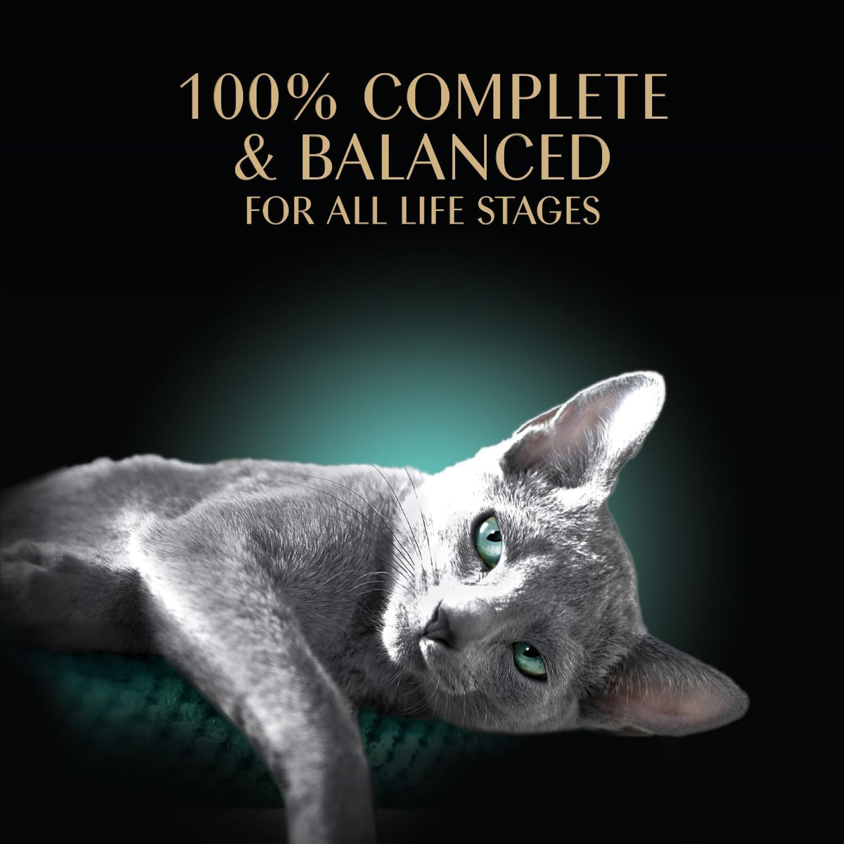 grain-free, corn-free, soy-free, wheat-free, gluten-free formula with no artificial flavors