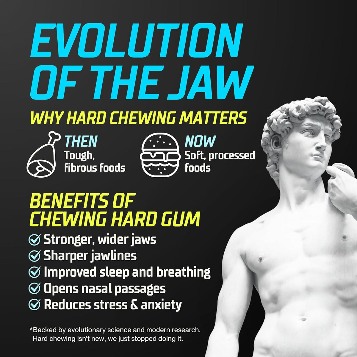GYMGUM Jawline Gum Ultra Hard Chewing Gum | Stocking Stuffer for the Keto Dieter, Athlete, or Looksmaxxer on Your List