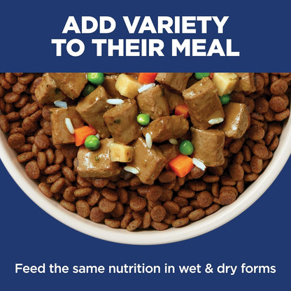 Hill's Science Diet Adult Sensitive Stomach & Skin, Chicken Recipe, 30 lb | Luxury Pantry-Staple Kibble for Multi-Dog Homes