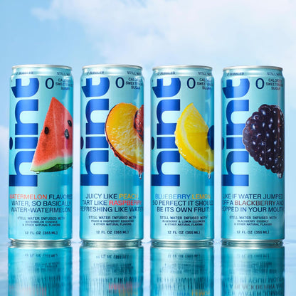 Hint Canned Water Variety – Portable Fruit Flavored Water for Beach Tote and Patio Lounger, No Sugar Added