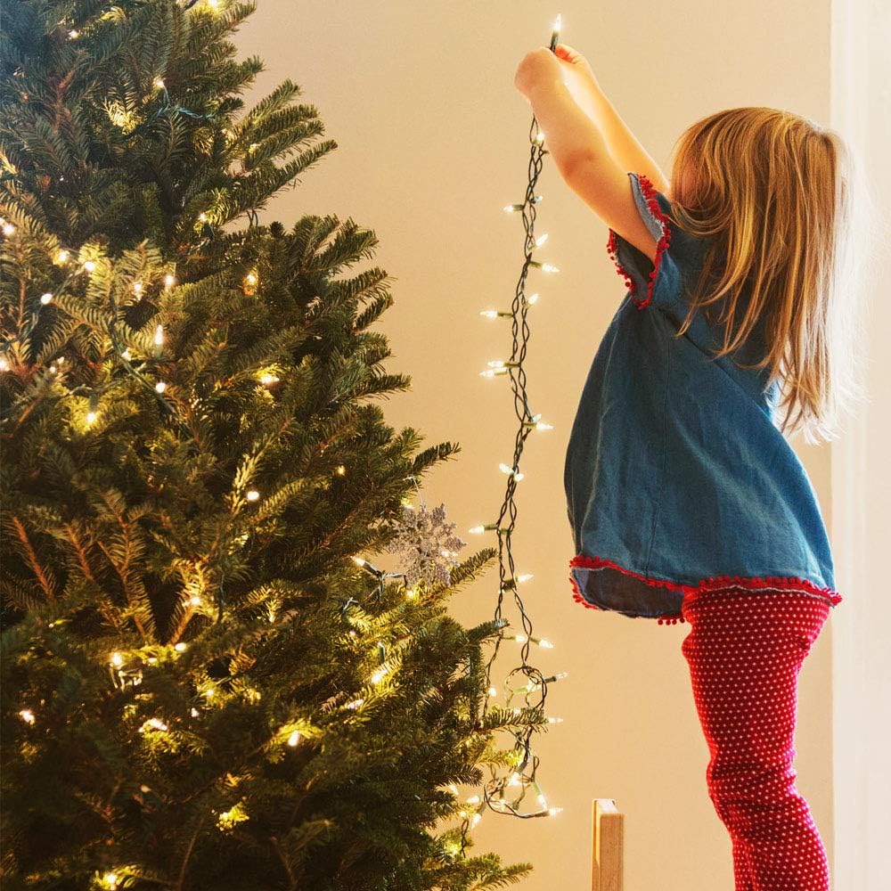 Indoor Decorative String Lights with 8 Lighting Modes and Remote, Modern Home Accent for Shelves Garlands and Mantels, Waterproof LED USB or Battery