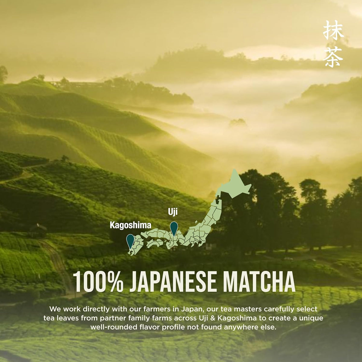 Jade Leaf Matcha Organic Japanese Matcha Powder – Beautiful Housewarming Present for the Health-Conscious Friend
