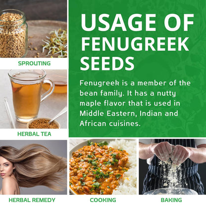 Jiva Organic Fenugreek Seeds 7 Ounce – Aromatic Indian Spice Seeds for Tempering, Herbal Tea Blends & Mindful Scent Rituals