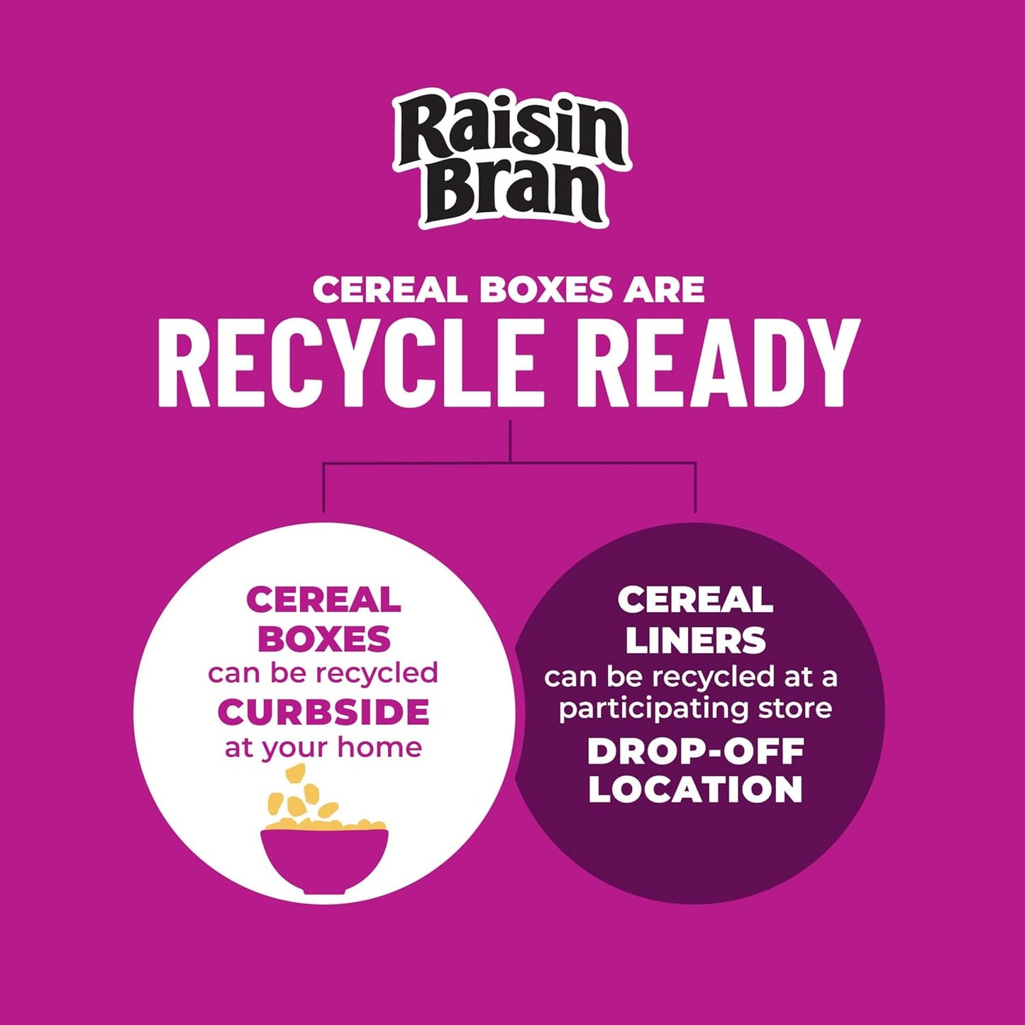 Kellogg's Raisin Bran Large-Box Cereal, Kosher Pareve Pantry Essential for Multi-Use Home Kitchens