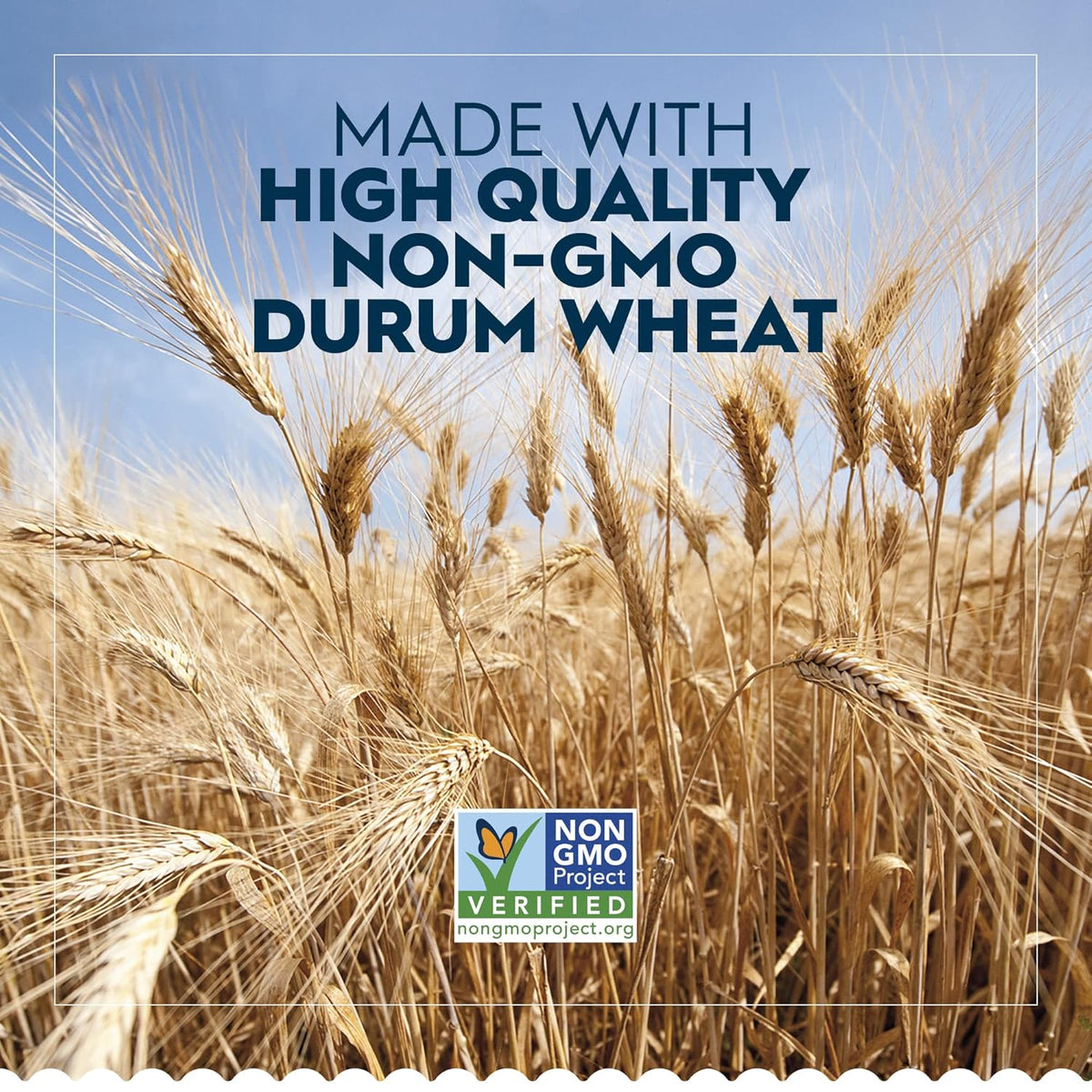 kosher certified for observant households