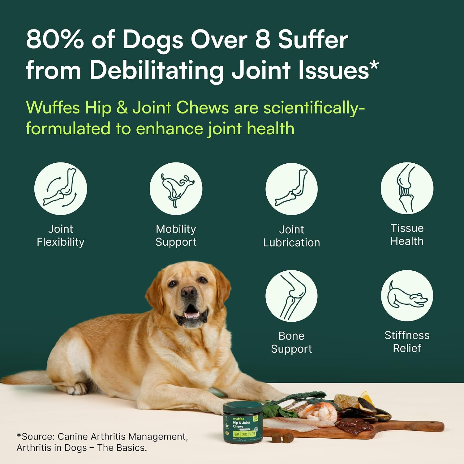 Large Breed Joint Supplement – Post-Hike Recovery Chews for Active Dogs