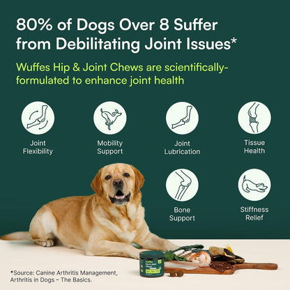 Large Breed Joint Supplement – Post-Hike Recovery Chews for Active Dogs
