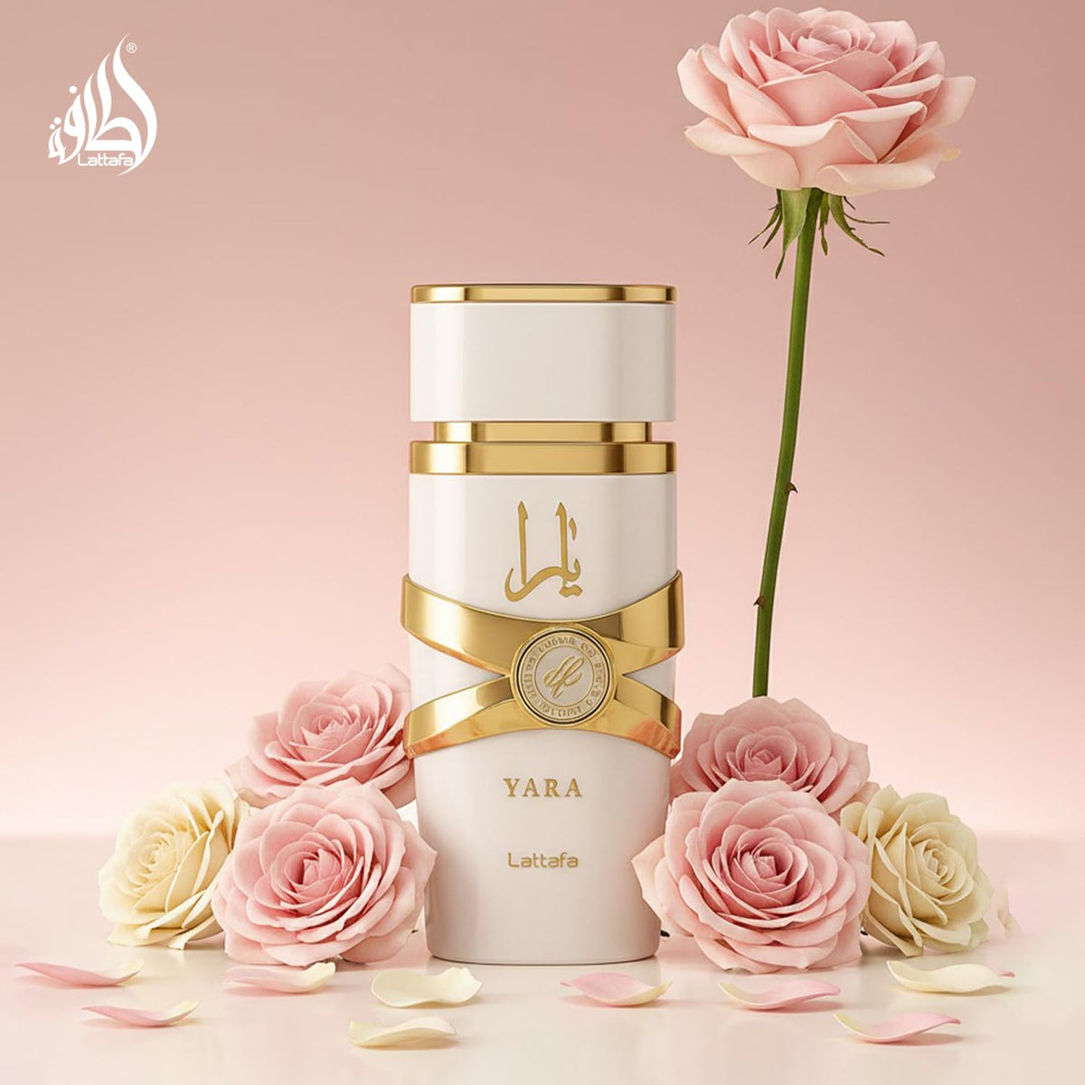 Lattafa Yara Moi Women's EDP – Warm Amber Perfume for Bedtime Ritual and Stress-Free Evenings, 100ml Bottle