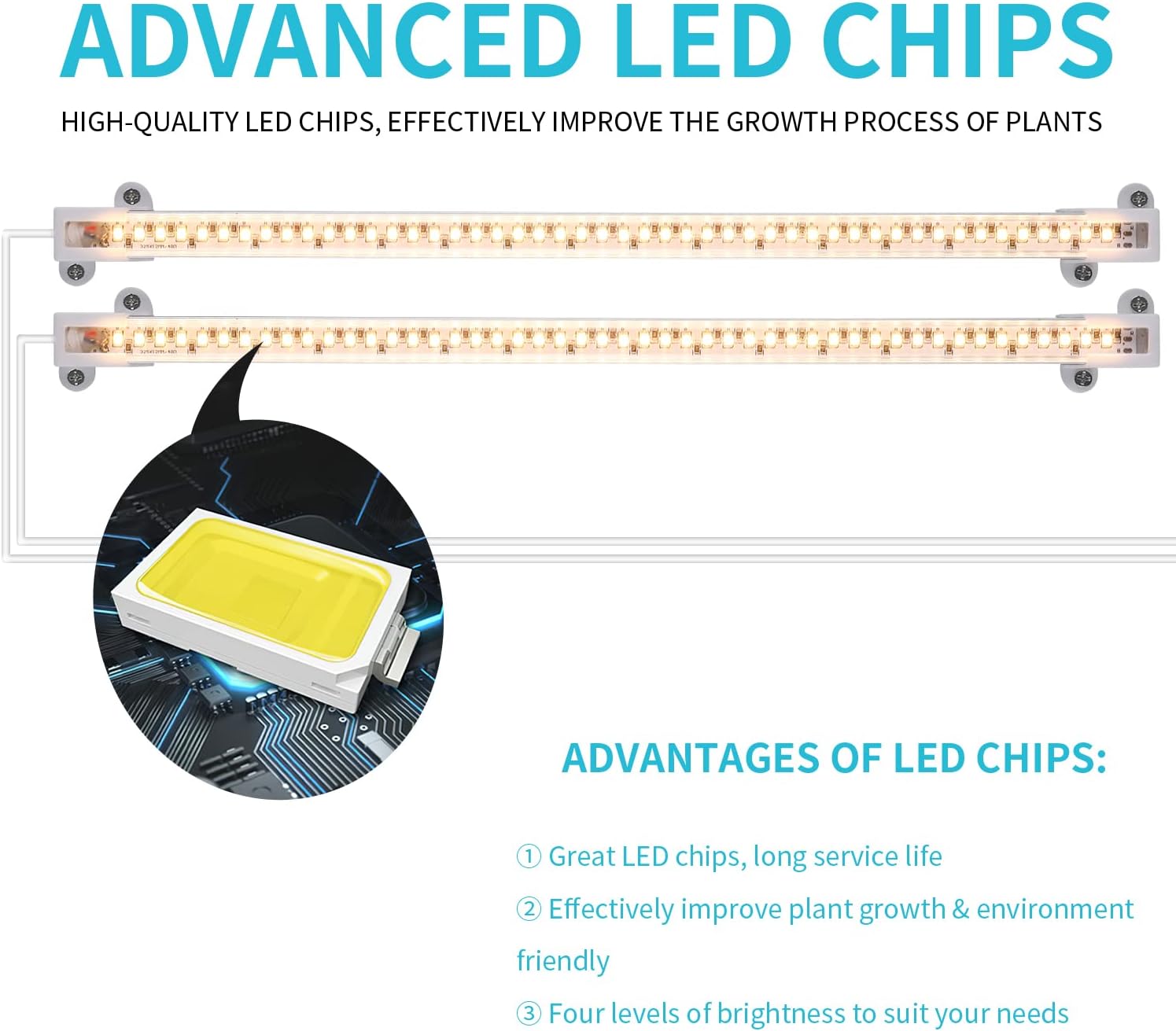 LORDEM Full Spectrum Grow Light – Background Ambience for Cubicle and Co-Working Space, Quiet Operation