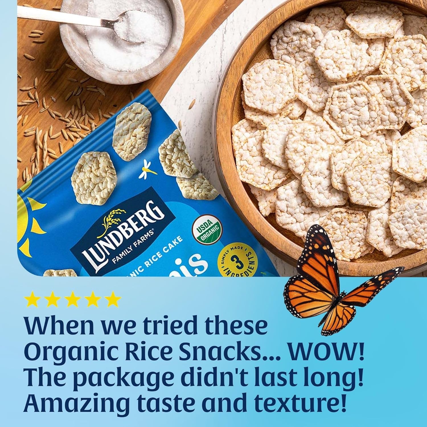 Lundberg Organic Rice Cake Minis – Streamlined Snack for Capsule Pantries, Original Sea Salt Minis