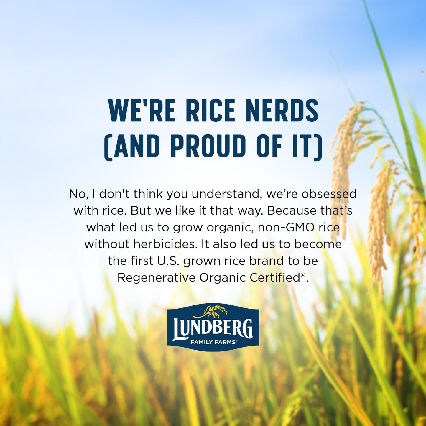 Lundberg Regenerative Brown Basmati – Low Arsenic Organic Rice for Clean Pantry