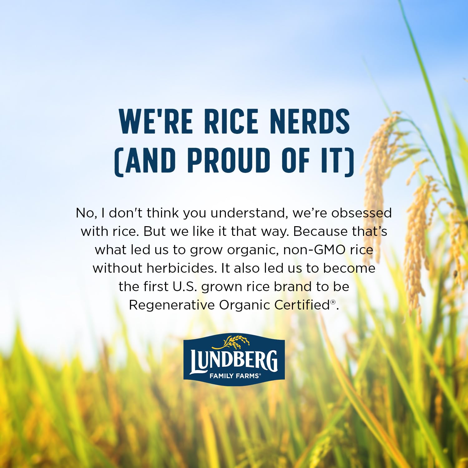 Lundberg Regenerative Brown Basmati – Low Arsenic Organic Rice for Clean Pantry