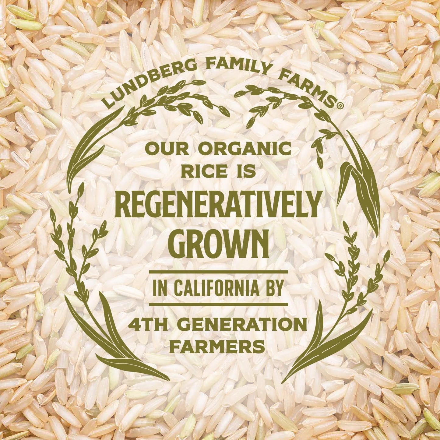 Lundberg Regenerative Brown Basmati – Low Arsenic Organic Rice for Clean Pantry